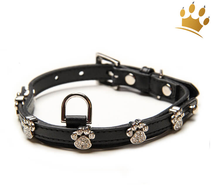 Halsband Brilliant Paw Schwarz - Hundehalsband Strass Schwarz ...