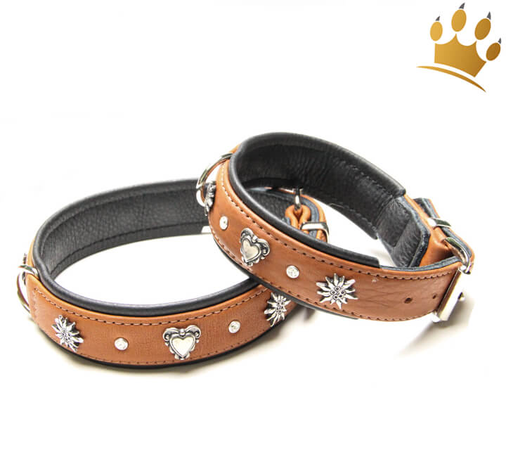 Luxus Hundehalsband in orange braun oder schwarz Leder mit eleganten  Ornamenten, Design Orange - Superpipapo