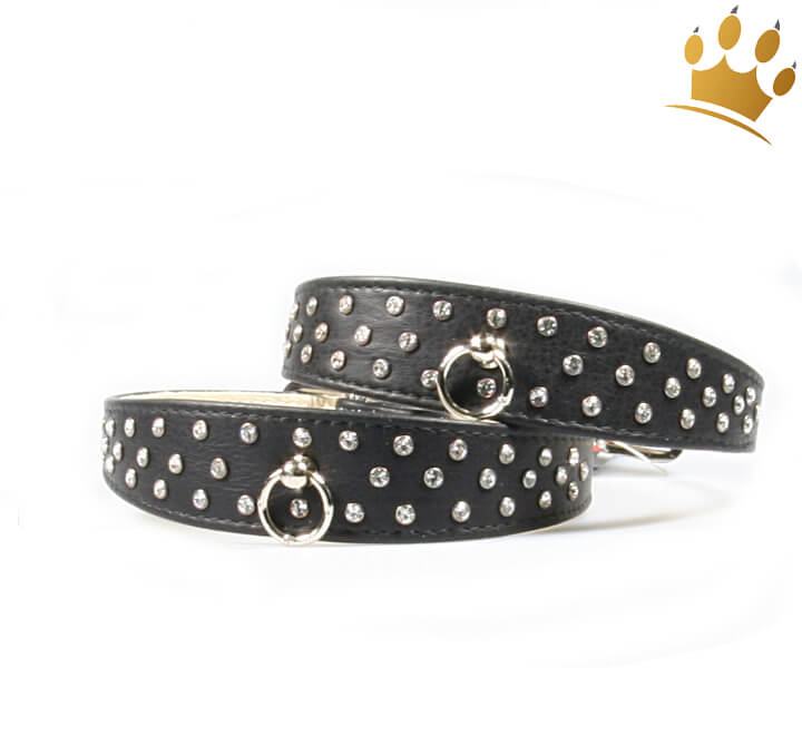 Hundehalsband Luxury Grace Black Luxus Hundehalsband schwarz