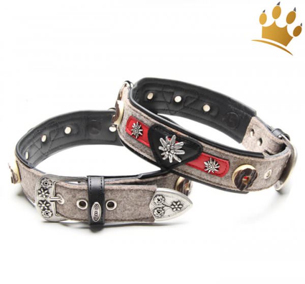 Hunde Lederhalsband Fesche Vroni Online Shop Cani Di Mondo